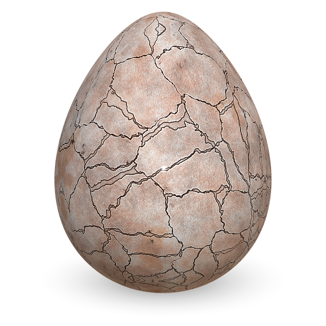 Free egg cracks eggshell illustration