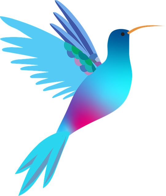Beija Flor, Pássaro, Casamento, Exótico