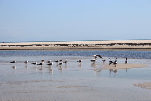 Free Sea Water photo and picture