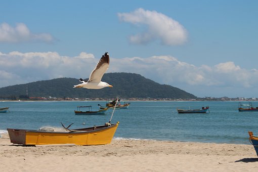 Free Sky Beach photo and picture
