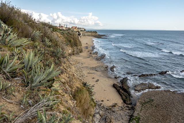 Free The Beach Of The Maidenhair Cascais photo and picture