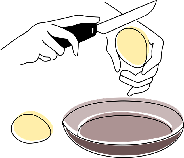 Free eggs egg breakfast vector