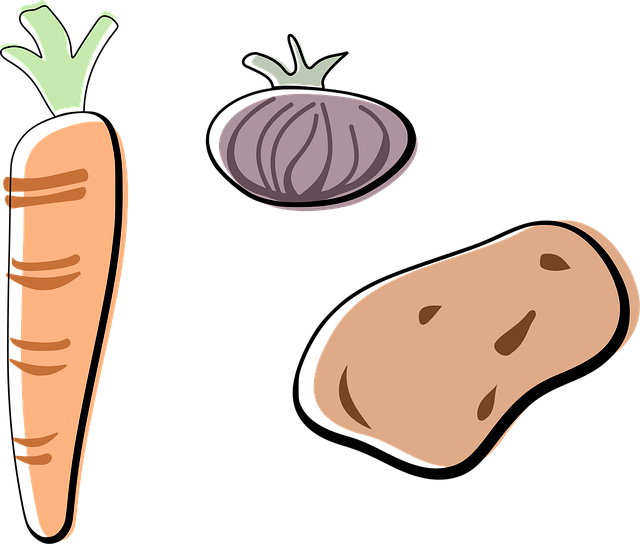 Free carrot onion potato vector