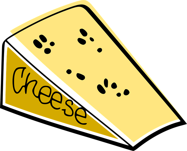 Free cheese yellow cook vector