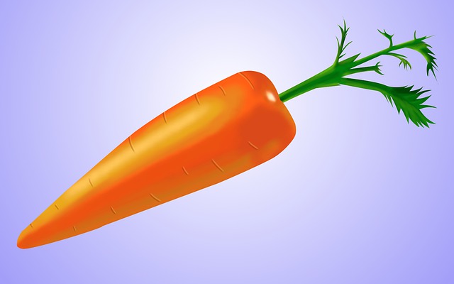 Free carrot green healthy illustration
