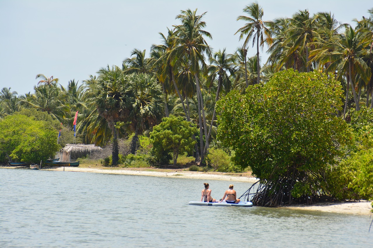 sri lanka, palm tree, exotica, nature, island, sea, idyllic