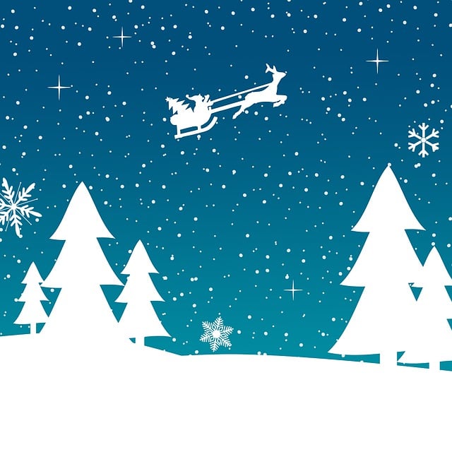 Snø, Christmas Tree, Vinter, Hvit