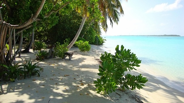 Tropical, Ilha, Praia, Período De Férias