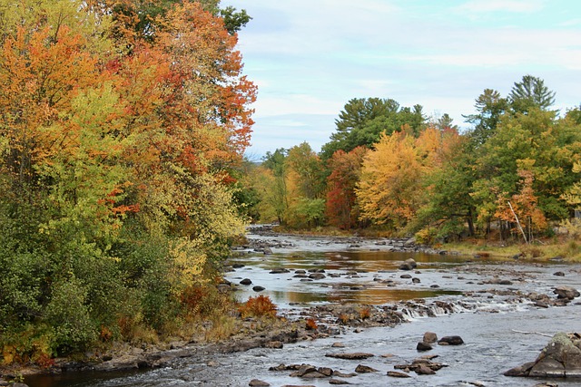 Free Fall New England photo and picture