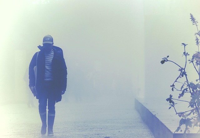 Free Fog Heavy Mist photo and picture