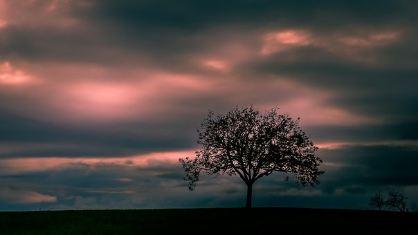 Free Nature Landscape photo and picture