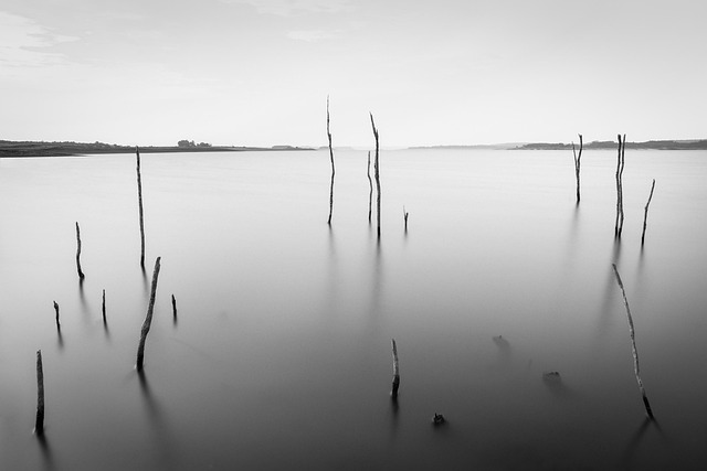 Free Black And White Simple photo and picture
