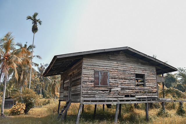 Free Hut Wood photo and picture