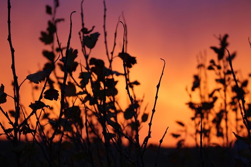Sonnenuntergang, Himmel, Landschaft