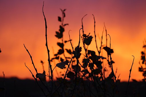 Sonnenuntergang, Natur, Landschaft