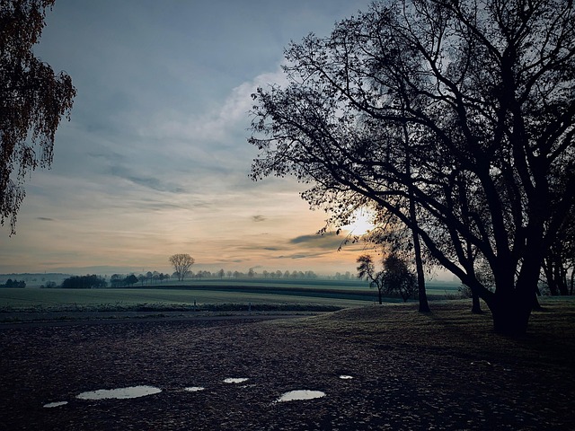 Free Fall Morning Mood photo and picture
