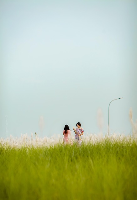 Free Landscape Copper Wipe photo and picture