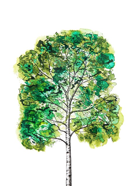 Birke, Baum, Natur, Aquarell, Umgebung