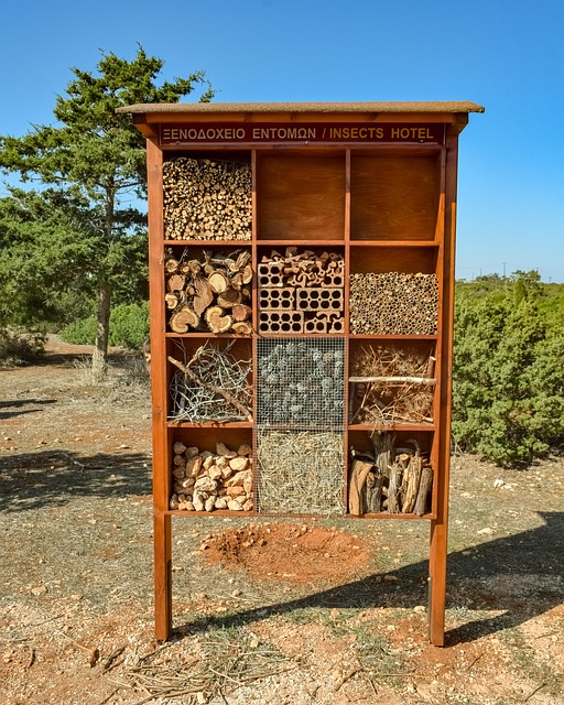 Free Insects Hotel Environmental Centre photo and picture