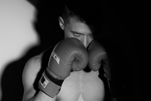 Free Boxing Sport photo and picture