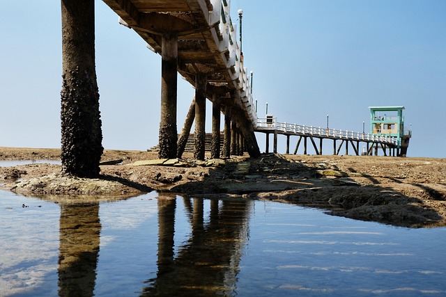 Free Bridge Low Tide photo and picture