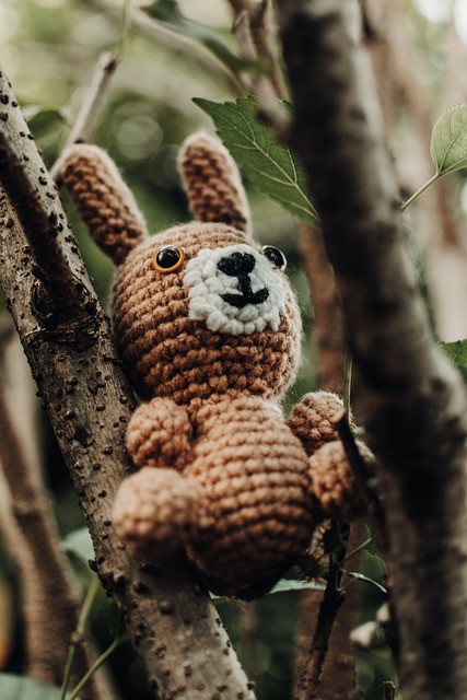 Free Rabbit Nature photo and picture