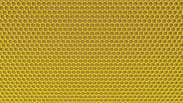 Honning, Insekt, Bee, Gren, Beehive, Ule