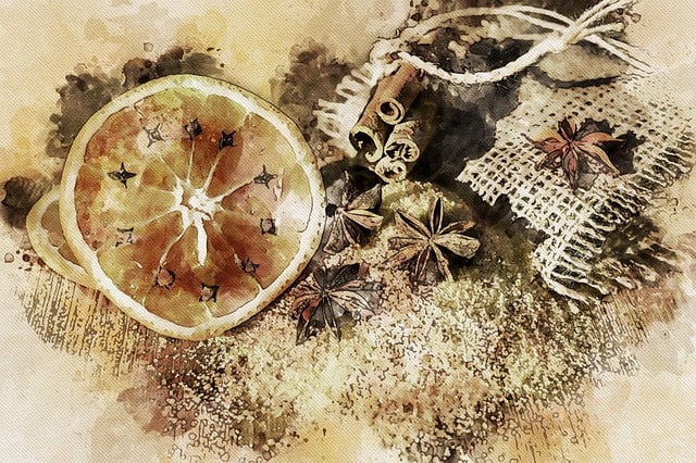 Free anise star anise cinnamon illustration