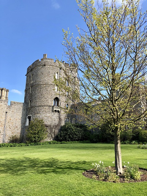 Free Castle Windsor photo and picture