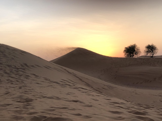Free Desert Sand photo and picture