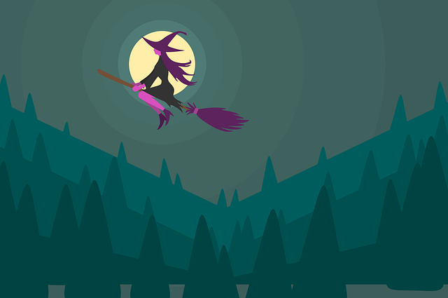 Free witch flying broom vector
