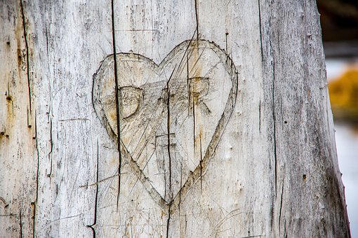 Free Tree Heart photo and picture
