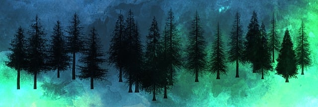 Free trees christmas pines illustration