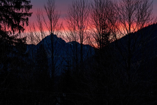 Free Sunrise Winter photo and picture