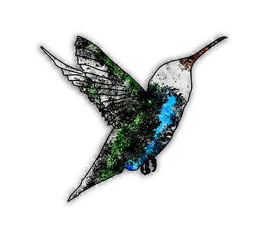 Free Earth Hour Hummingbird illustration and picture