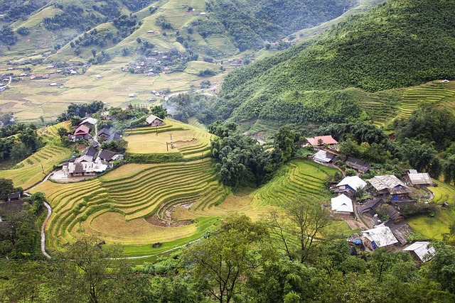Rice Field, Berg, Landschap, Natuur