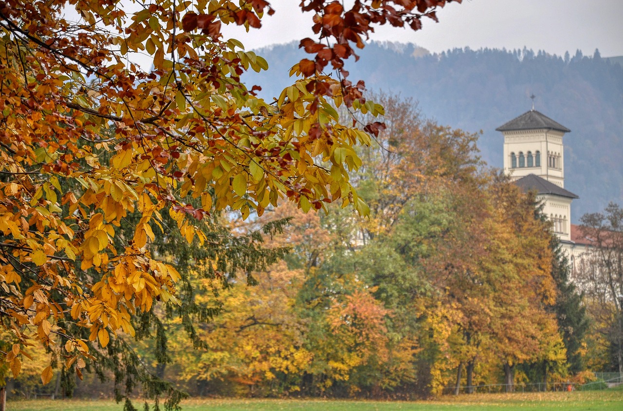 Fall - free online jigsaw puzzle photo