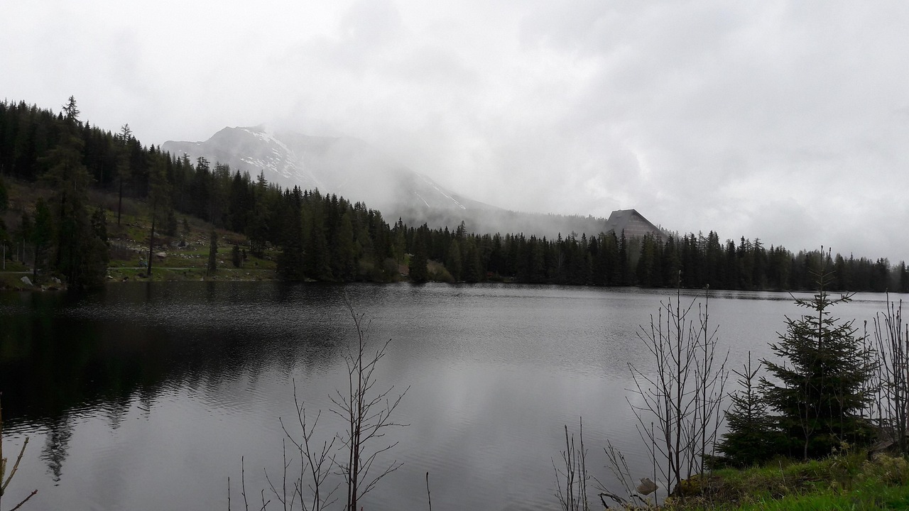 Pine Lake Fog Free photo on Pixabay Pixabay