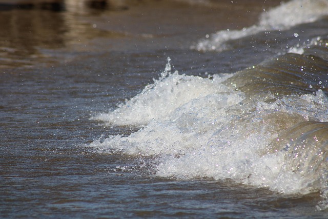 Welle, Spritzen, Strand, Das Wasser