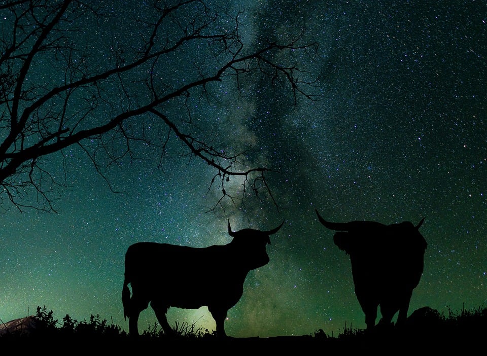Natur, Sky Astrologi, Galakse, Universet, Stjerner