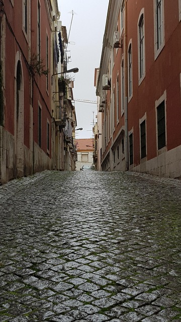 Caracteristic, Lisabona, Rose, Strada