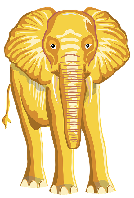 Elefant, Dschungel, Tier, Tierwelt