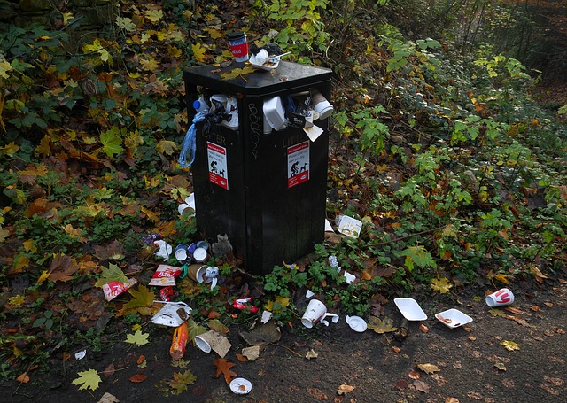 2,000+ Free Trash Bin & Trash Images - Pixabay