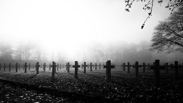 Free War Memorial Remembrance Day photo and picture
