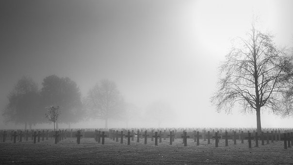 Free War Memorial Remembrance Day photo and picture