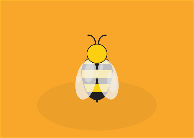 Download free HD stock image of Bee Animal Free bee animal insect vector