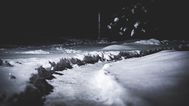 Free Winter Night photo and picture