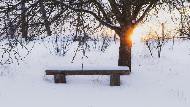 Free Evening Winter photo and picture