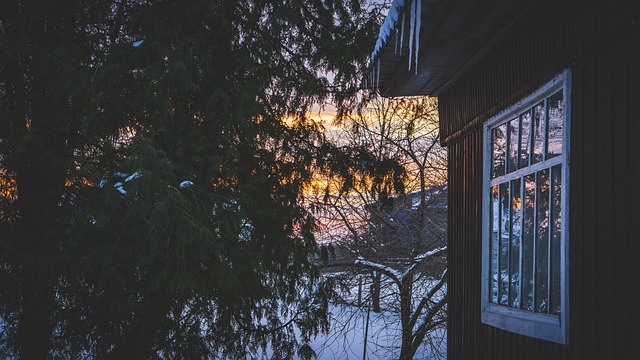 Free Evening Winter photo and picture