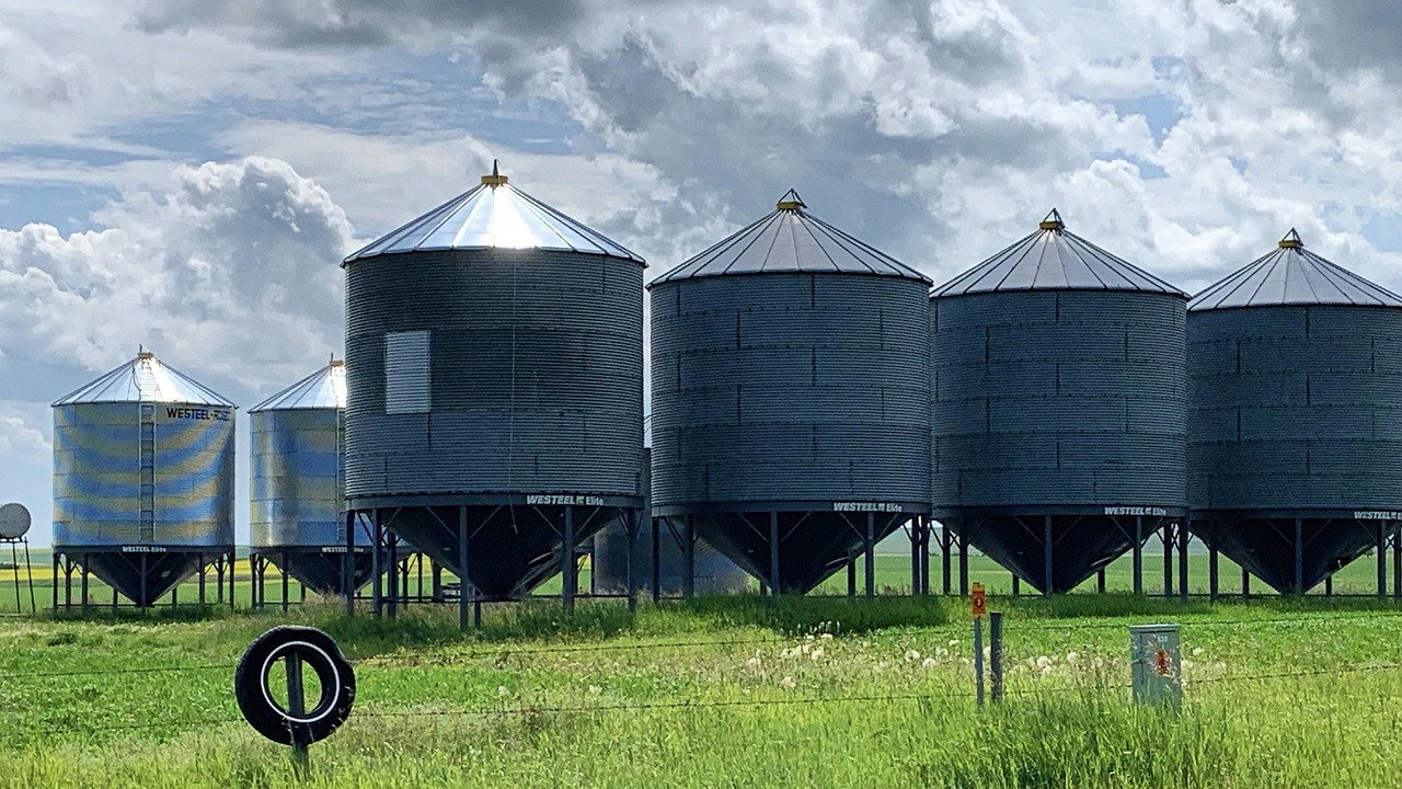 Grain storage bin on a farm
